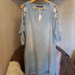 Blue Denim NWT Francesca's Blue Rain Dress